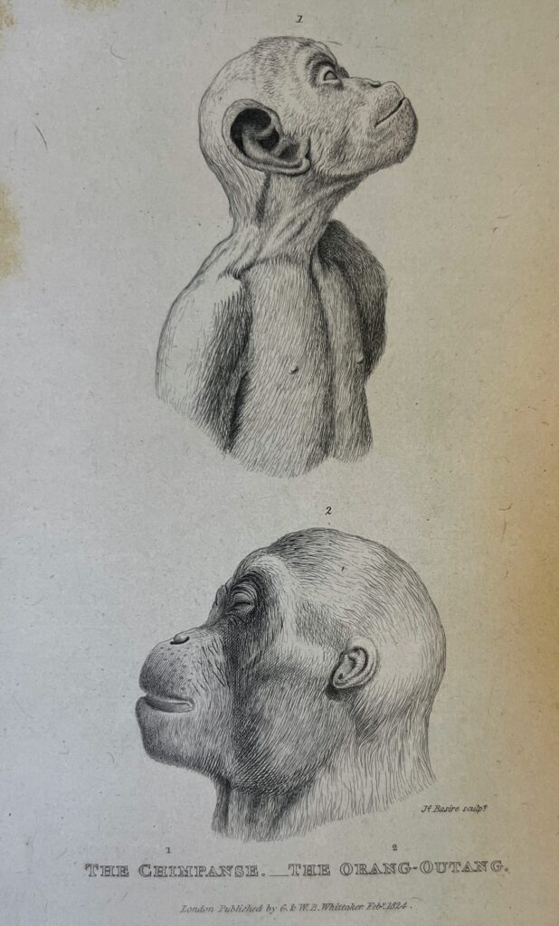 Georges Cuvier (1769-1832) - The Devon and Exeter Institution